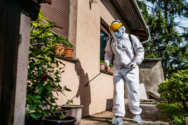 Best Mosquito Control Services  in Town And Country, WA